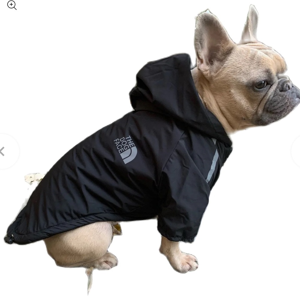 The dog face jacket for dogs